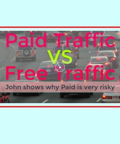 Paid VS Free Traffic